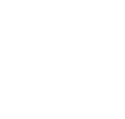 Icon for The Saloon